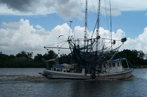 Louisiana Shrimp Boat 2003