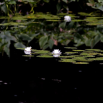 Can’t judge a book by its Look Inside or Paranoia isn’t always my friend . . .